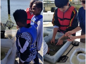 SERC Field Trip-3